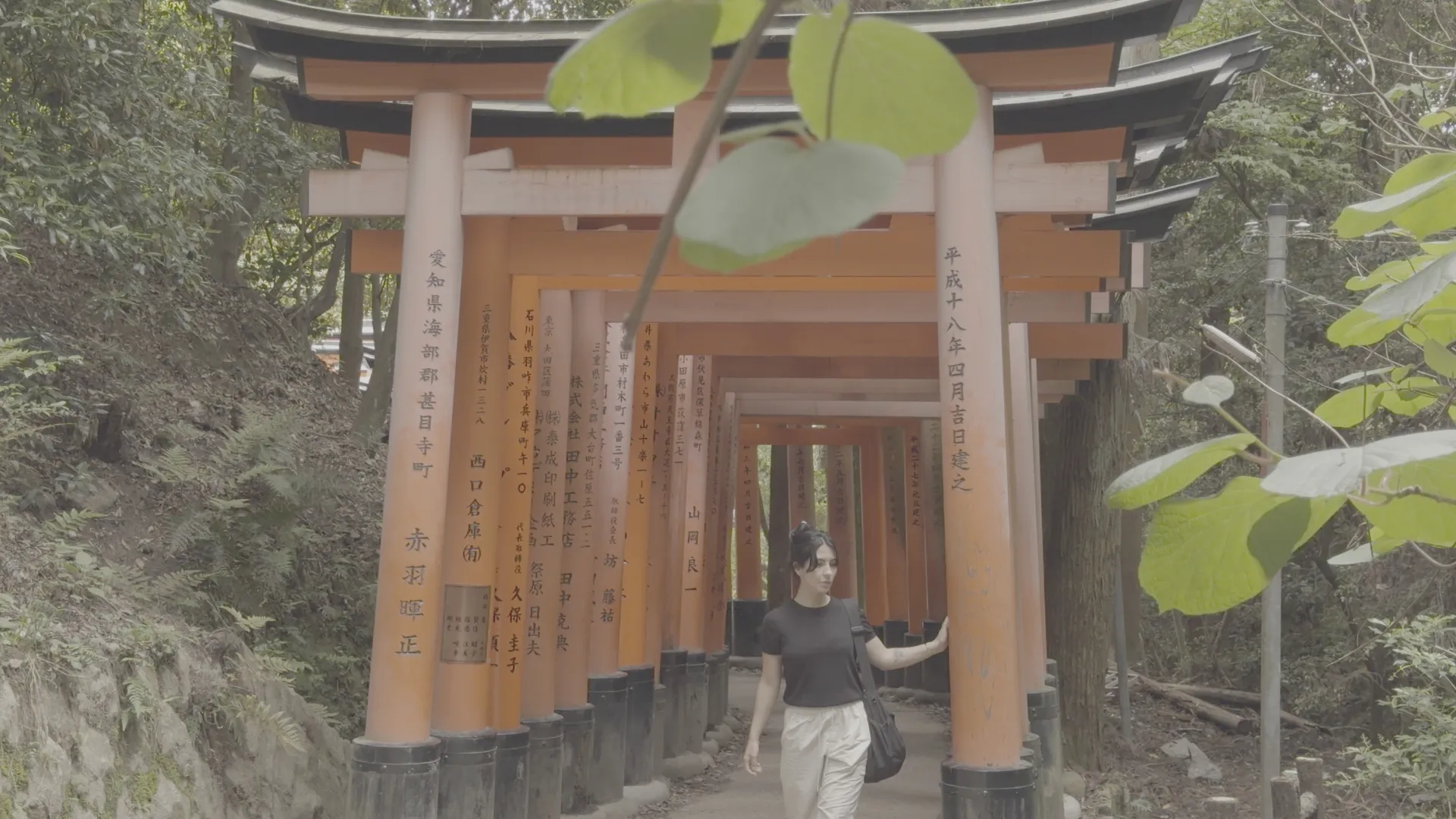 Torii em Apple Log